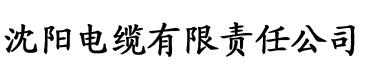 四虎免费在线电影电缆厂logo